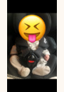 avis Siège auto i-Spin 360 par Julia