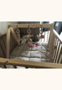 avis Arche de jeux en bois Ocean par Deborah