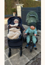 avis Tricycle fonctionnel Aston par Axelle