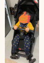 avis Poussette Qbit par Rafaela