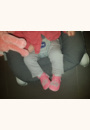 avis Chaussons semelle souple par Magalie