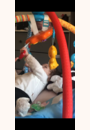 avis Tapis d'éveil interactif : Lumi tapis des petits copains par Ber