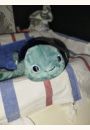 avis Veilleuse projecteur Tortue Aqua Dream par Erika