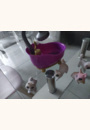 avis Mes animaux à colorier color'n'wash pets par Hassiya
