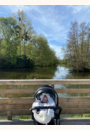 avis Poussette Priam par Axelle