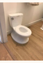 avis Pot My Size Potty par Jessica