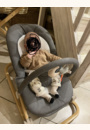 avis Transat avec arche Babydream par Marion