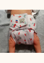 avis Couche Lavable Évolutive par Elodie
