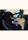 avis Siège-auto First class plus par Justine