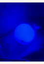 avis Lampe Led Christian la baleine par Justine