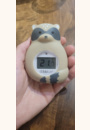 avis Thermomètre de bain et d'ambiance Rakü par Auriane