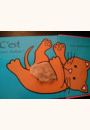 avis Livre Où est mon chaton ? par magali