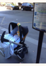 avis Poussette Zapp Xtra par Hortense