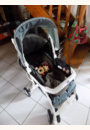 avis Poussette Simplicity par Charlotte