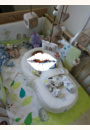 avis Cocoonababy par Mélody 