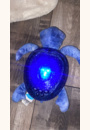 avis Veilleuse Tranquil Turtle™ par Ludivine