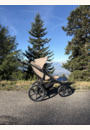 avis Poussette Urban Glide par Léa