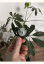 avis 2 Sucettes SMART NIGHT Phosphorescentes par Maxime