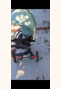 avis Tricycle Explorer 4 En 1 Évolutif Et Pliable par Adriane