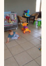 avis Hippo Bolide par Laetitia