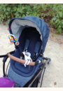 avis Poussette Mya par Cyrielle