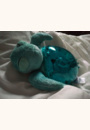 avis Veilleuse Tranquil Turtle™ par Elodie