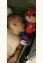 avis Malo, mon renardeau dodo par Magaly
