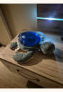 avis Veilleuse projecteur Tortue Aqua Dream par Cécilia