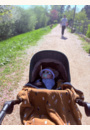 avis Lunettes de soleil  0-1 an par Carolyn