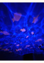 avis Veilleuse projecteur Tortue Aqua Dream par Violaine