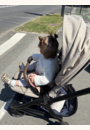 avis Poussette compacte valora™ par Mélanie