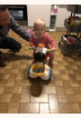 avis Trottino mon zèbre rigolo par Auriane
