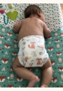 avis La couche iconique par Zephirine