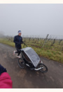 avis Remorque vélo Thule Chariot Lite par Elise