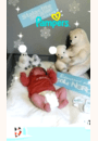 avis Couches Premium Protection par FRANCOISE