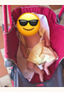 avis Poussette Techno XT par Isabelle