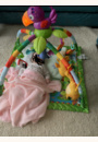 avis Tapis d'éveil jungle par Marina