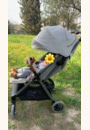 avis Poussette Parcel par Laura