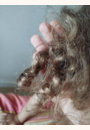 avis Shampooing nourrissant cheveux bouclés par Adeline