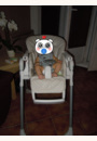 avis Chaise haute Prima Pappa Zero3 par Elodie