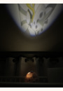 avis Mobile projecteur Magical Night par Gwladys