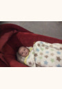 avis Poussette Elea par Adeline