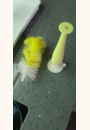 avis Goupillon par Flore