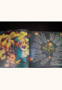 avis Livre-CD Pitt Ocha et la tisane de couleurs par magali
