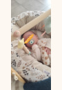 avis Sucette Anatomique Naissance par Morgane