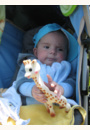 avis Sophie la Girafe par Sandrine