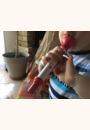 avis Trompette Confetti par Sarah