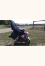 avis Poussette Diza par Caroline