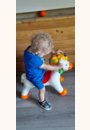 avis Porteur Mistral Le Cheval par Justine
