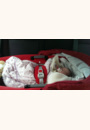 avis Nacelle Windoo Plus par Elodie